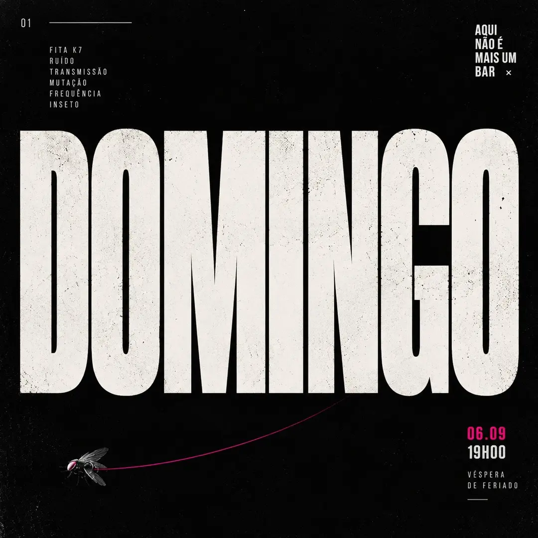 Flyer de Música de Inseto