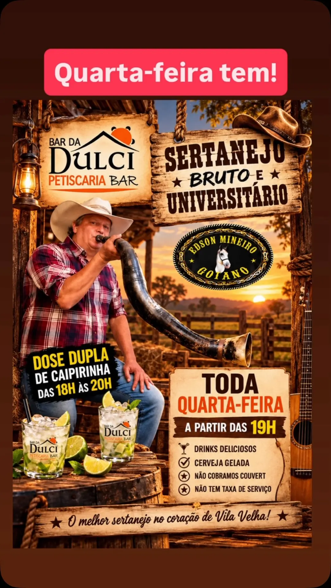 Flyer de Edson Mineiro Goiano VII