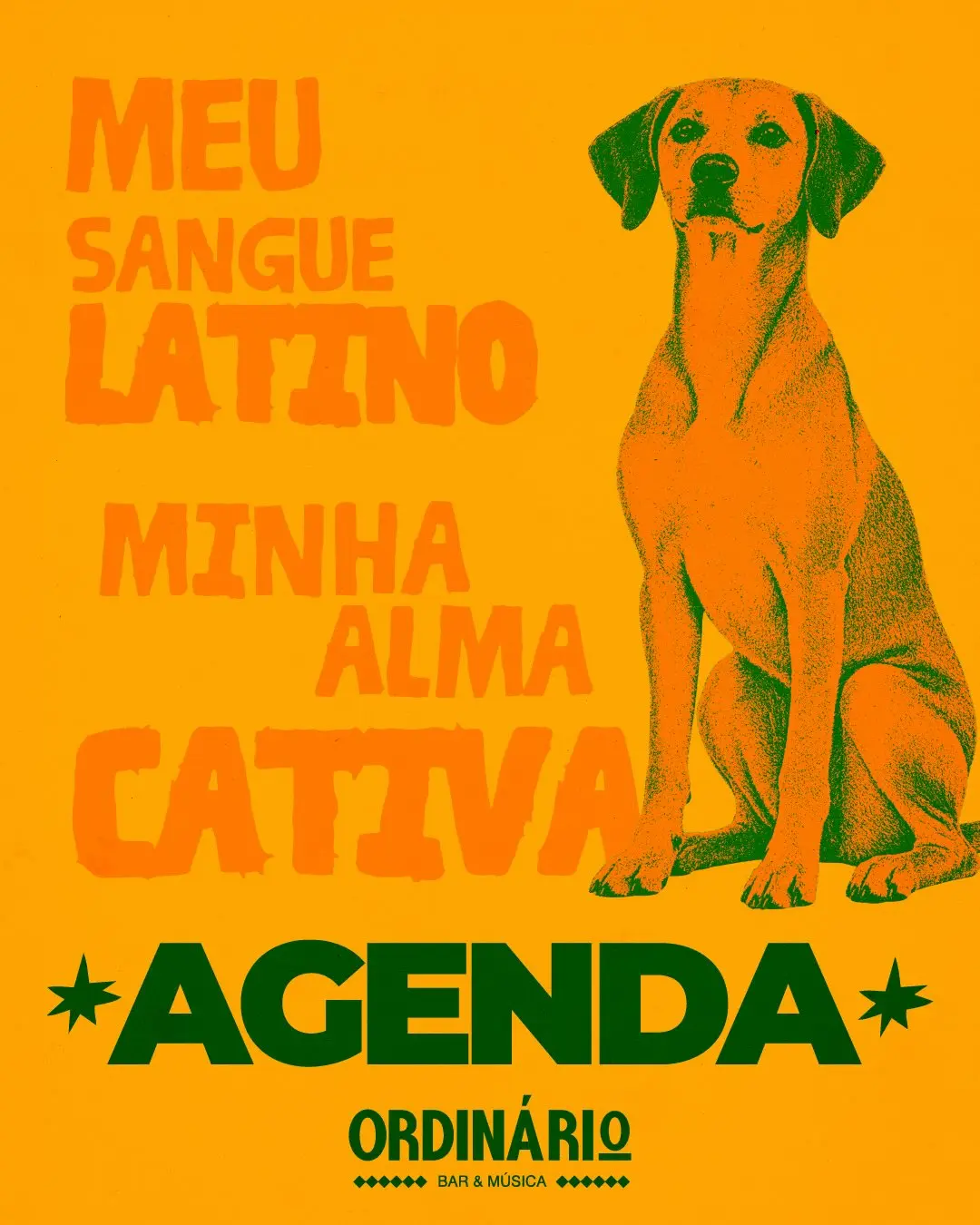 Flyer de Pé no Chão