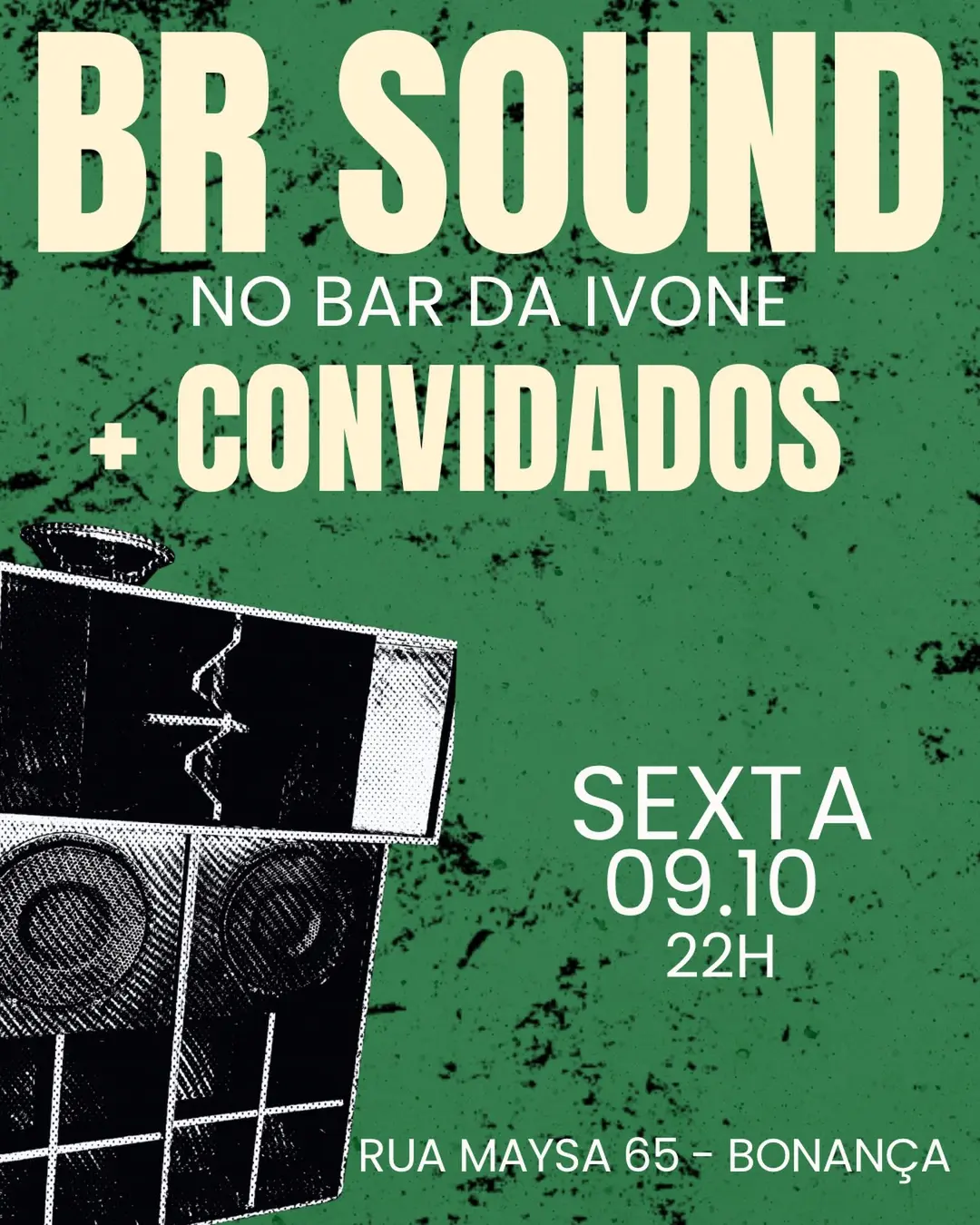 Flyer de Brazilian Sound System e BR SOUND