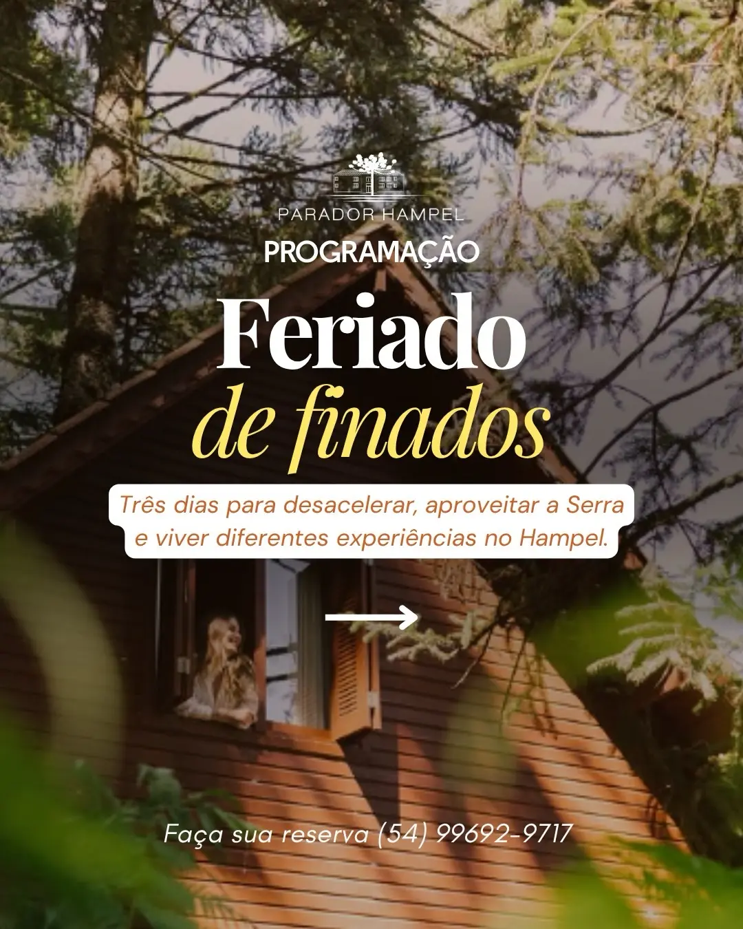 Flyer de A Ferro e Fogo