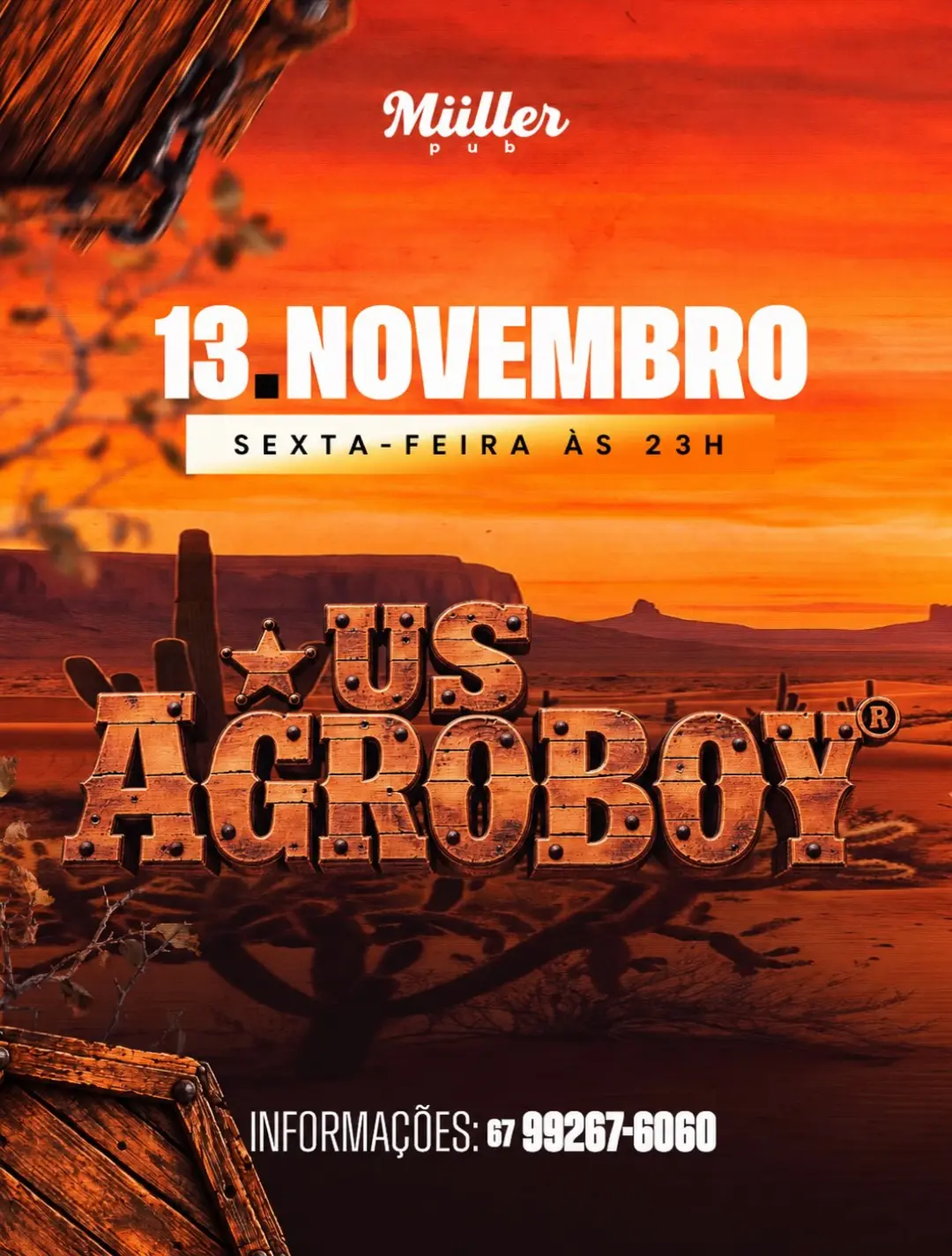 Flyer de Usagroboy