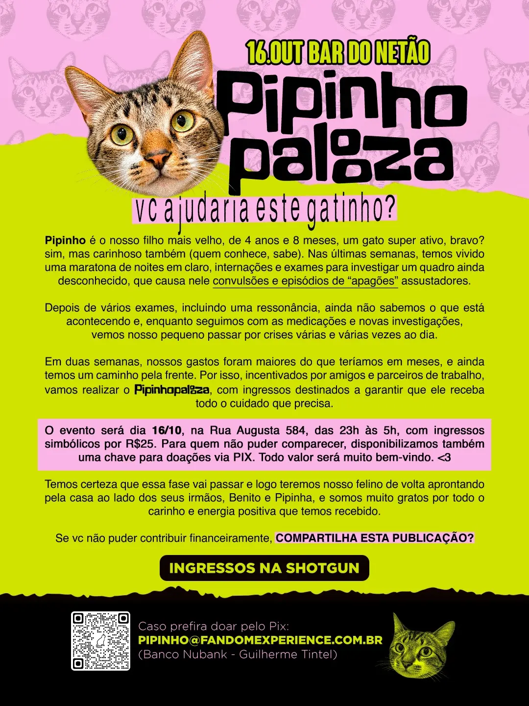 Flyer de Gui Tintel