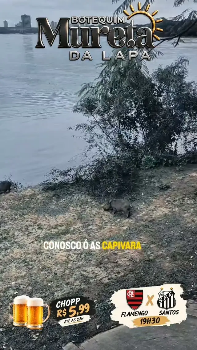 Flyer de Igor Saliência e Saliência